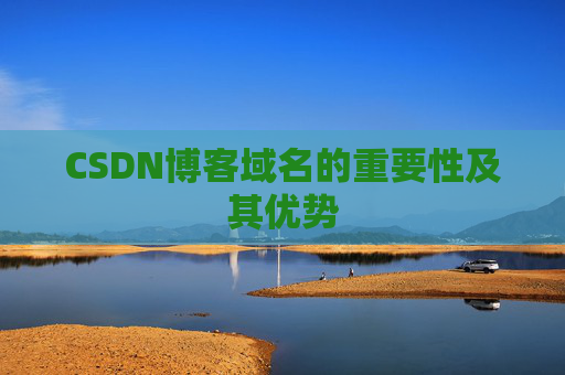 CSDN博客域名的重要性及其优势